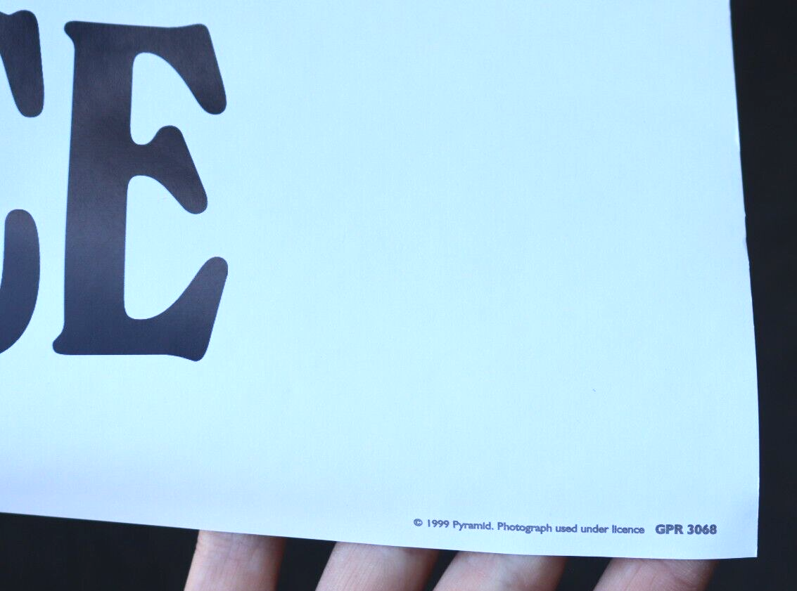 1999 PYRAMID JIMI HENDRIX EXPERIENCE WIRE HAIR MEDUSA CONCERT POSTER ART 53x37"