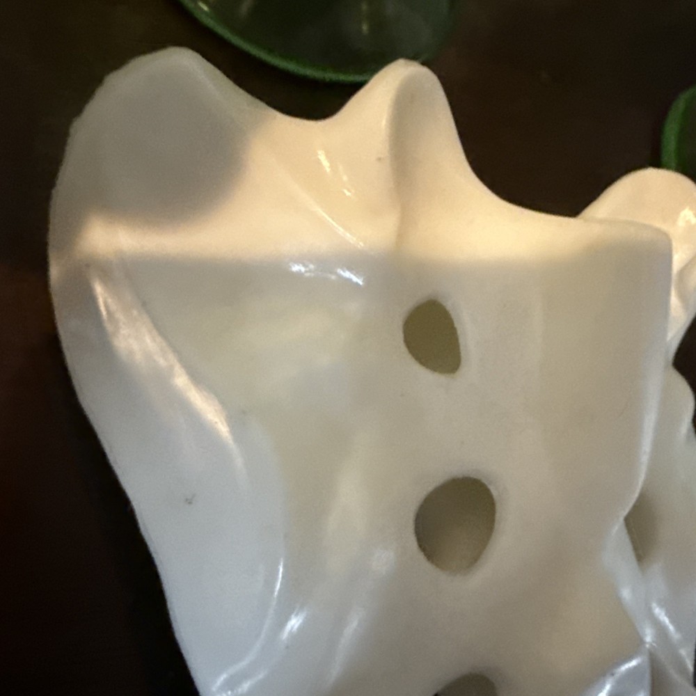 Anatomically Correct Human Coccyx Bone Model Geigy Pharma Look
