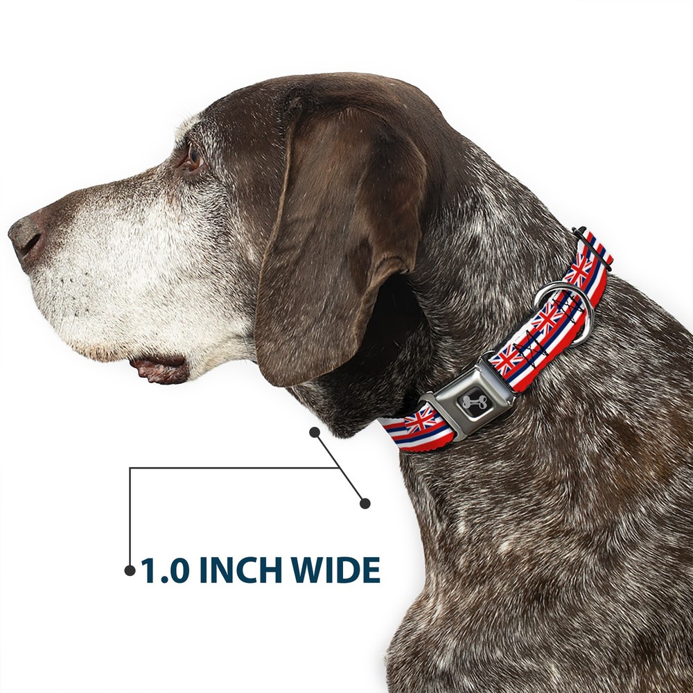 Dog Collar Bone Hawaii Flag Continuous Repeat Small 9.5-13"