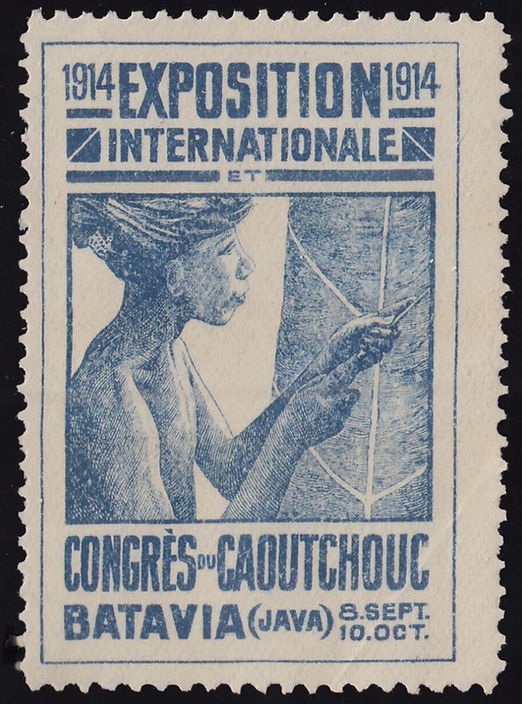 Netherlands NVPH Rubber Congress Mint never hinged.