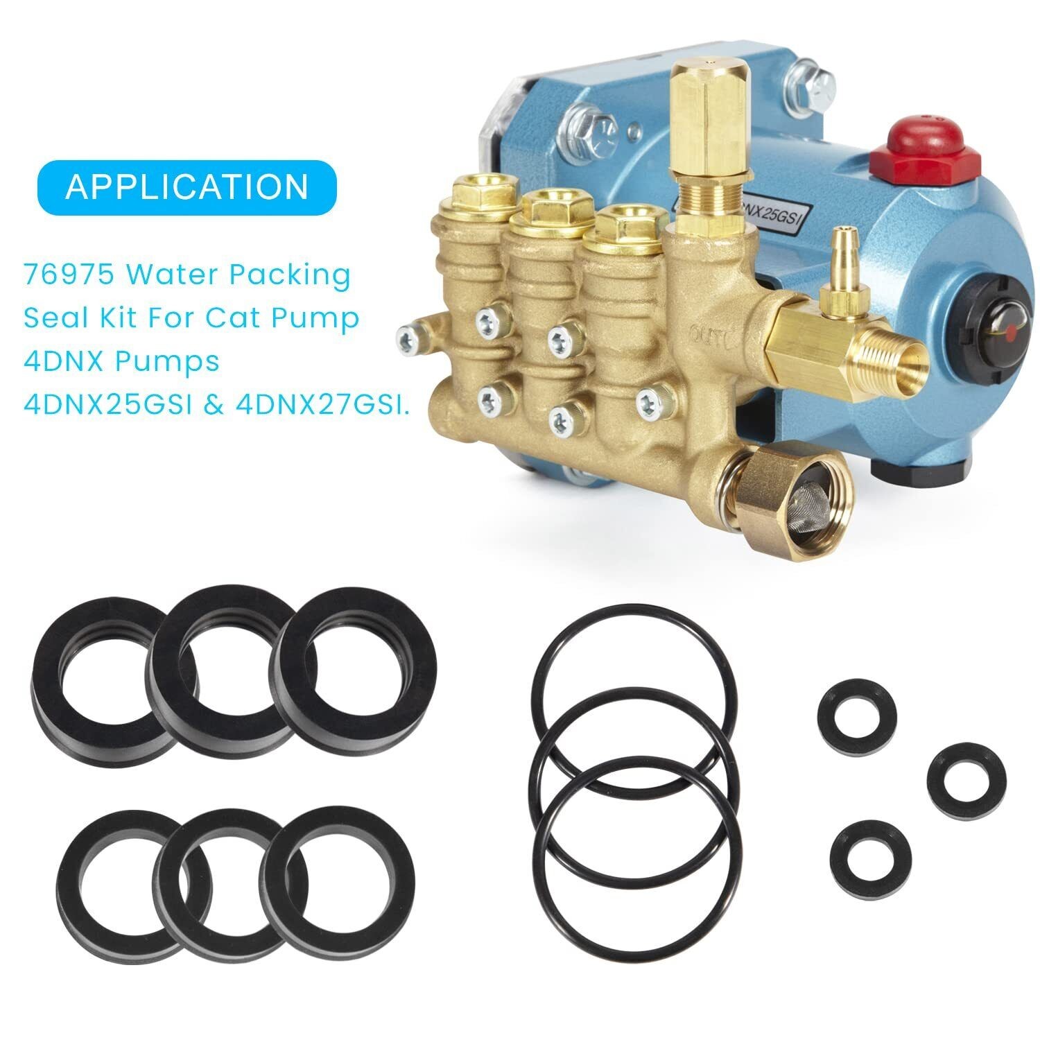 76975 Cat Pump Seal Kit for for 4DNX Pumps Model Replace 4DNX25GSI 4DNX27GSI