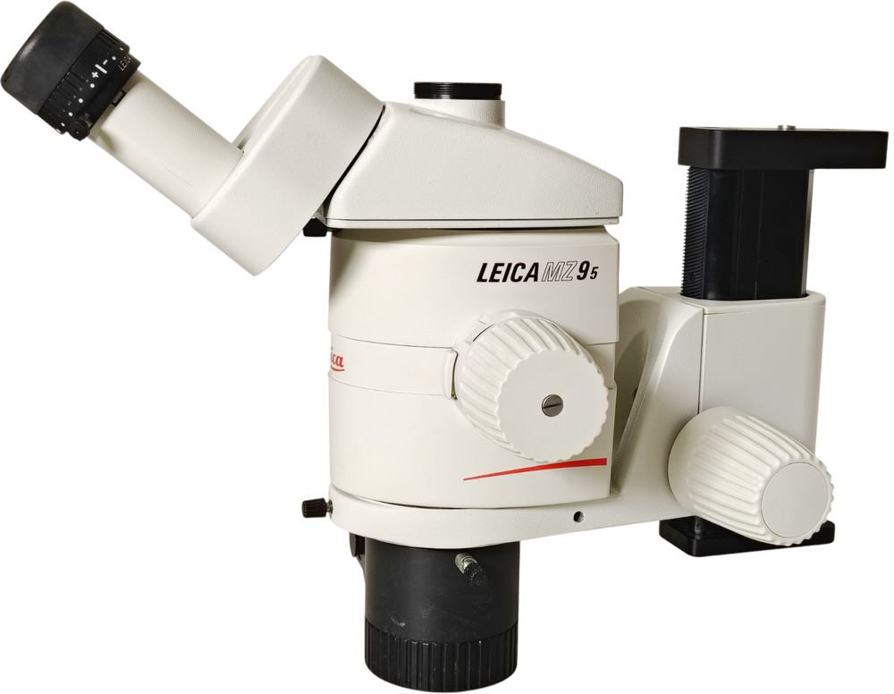 Leica MZ95 Stereo Microscope