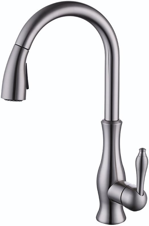 Kitchen Sink Faucet Pull-Out Spray Head Replacement Brushed Nickel