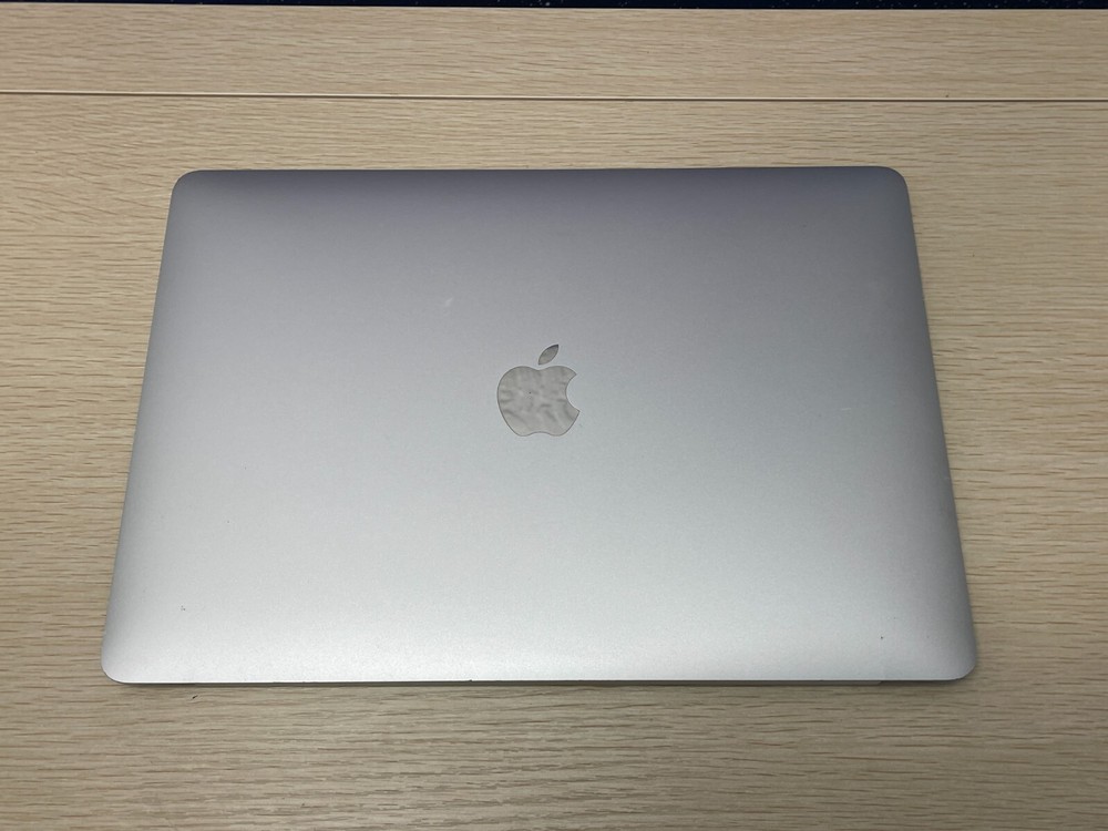 OEM Macbook Pro 13" A1706 A1708 2016 2017 LCD Display Assembly SILVER - B
