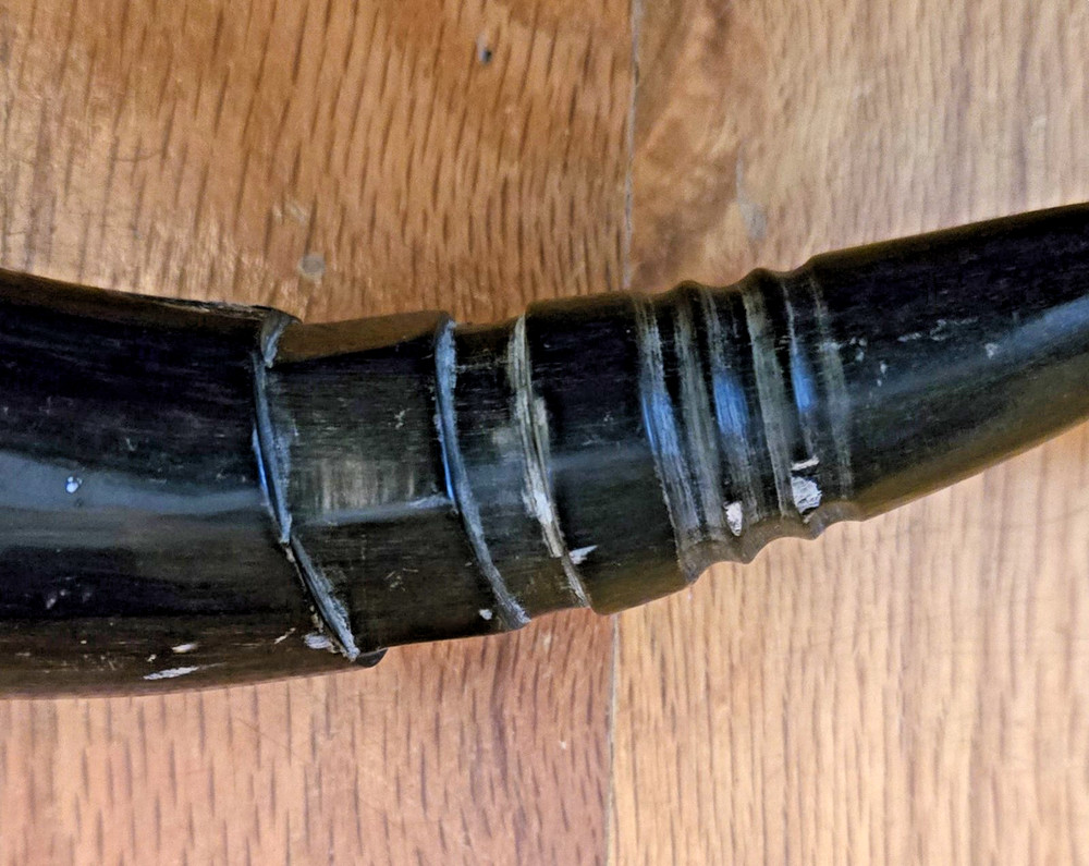 Muzzle Loader Powderhorn & BONUS Dancing with Wolves DVD