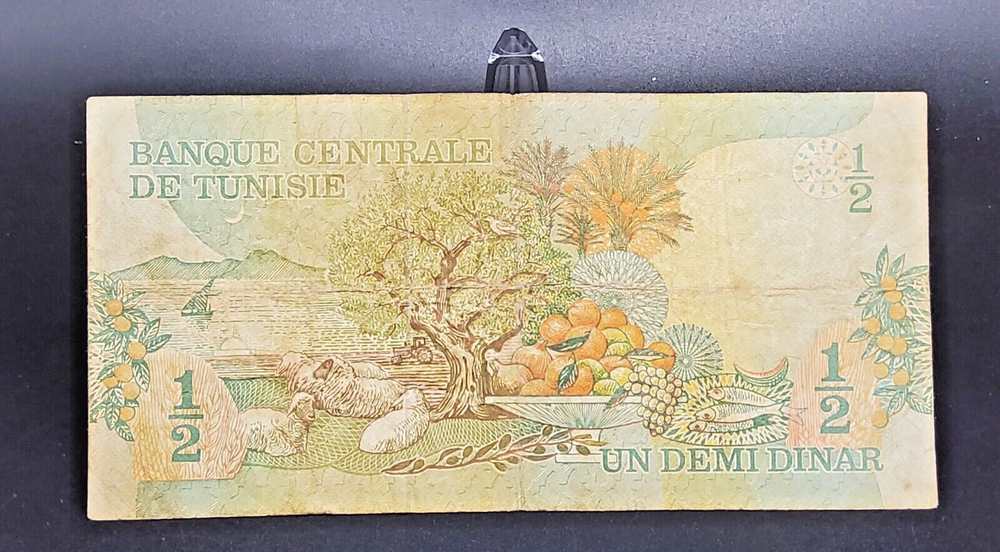 TUNISIA BANKNOTE HALF DINAR ~ Circulated