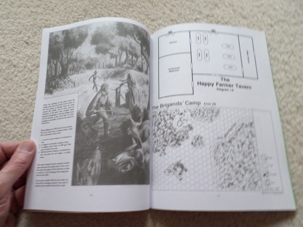the Forest Oracle N2 adventure module Dungeons & Dragons AD&D