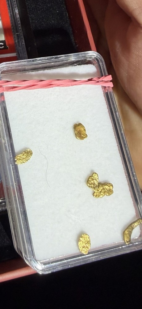 Raw Gold Nuggets .80