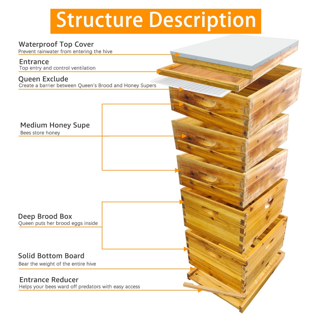 5-Layer Langstroth Bee Hive Beginner-Friendly Beehive Starter Kit