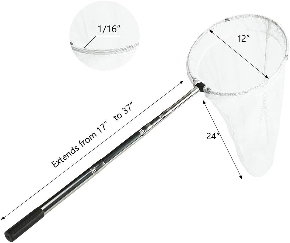 Compact Butterfly Net with Telescopic Handle, 12" Ring, 24" Depth for Collecting