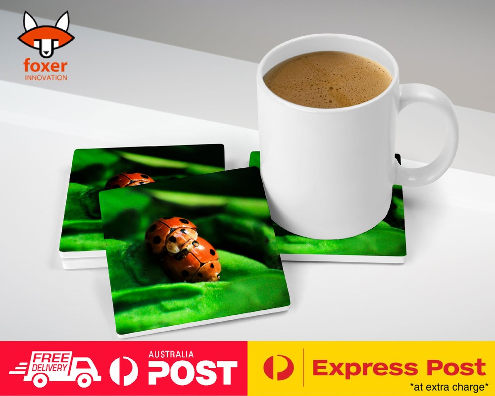 COASTER COFFEE DRINKING MAT|LADYBUG COCCINELLIDAE INSECT #7