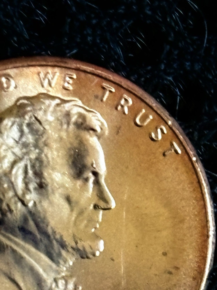 2023 P WOUNDED HEAD LINCOLN from a BU ROLL