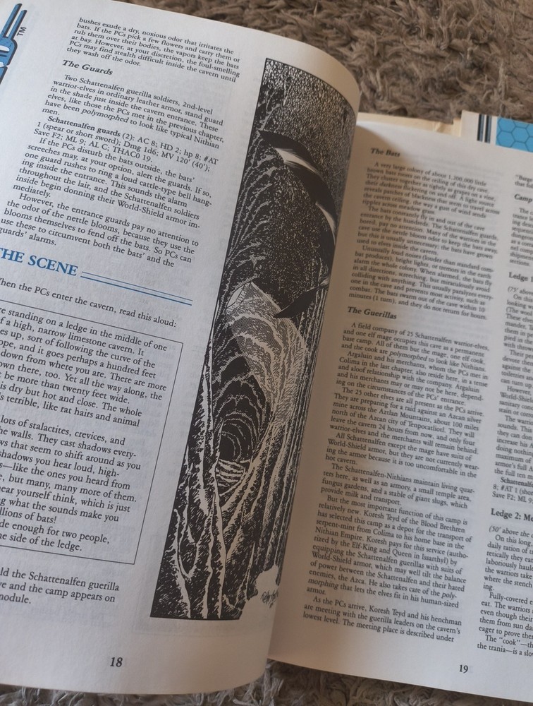 Dnd Hollow World Nightrage