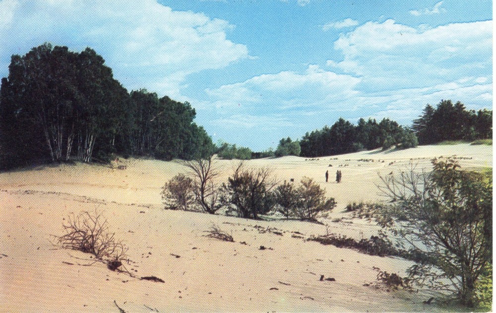 DESERT PANORAMA - PC3604