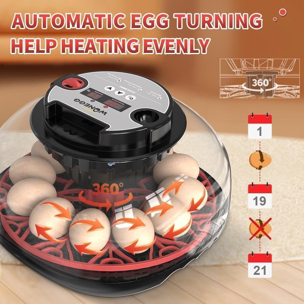 Explore+ 12 Egg Incubator for Beginners, Multi-Level Adaptive Humidity (Auto-Ref