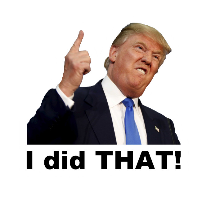 I did THAT - Trump Sticker Anti-Trump political meme stickers