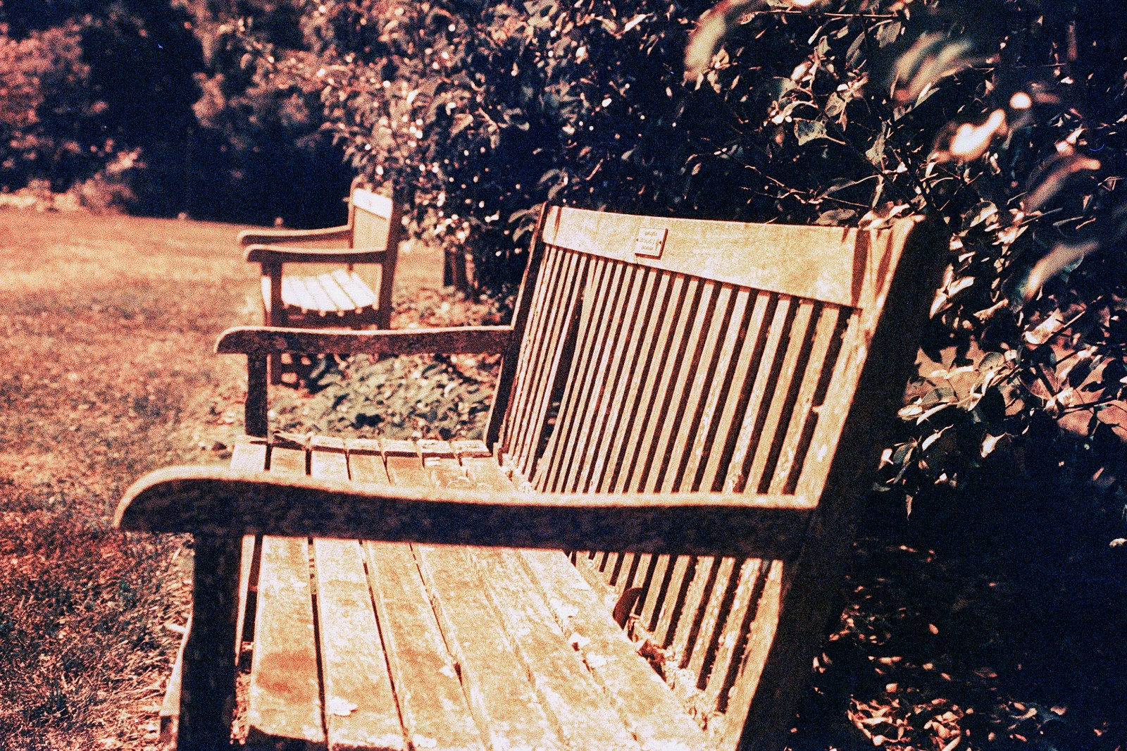 THE MARS PROJECT - BRAND NEW 35mm Color Negative Film 80 ISO - Experimental Fun