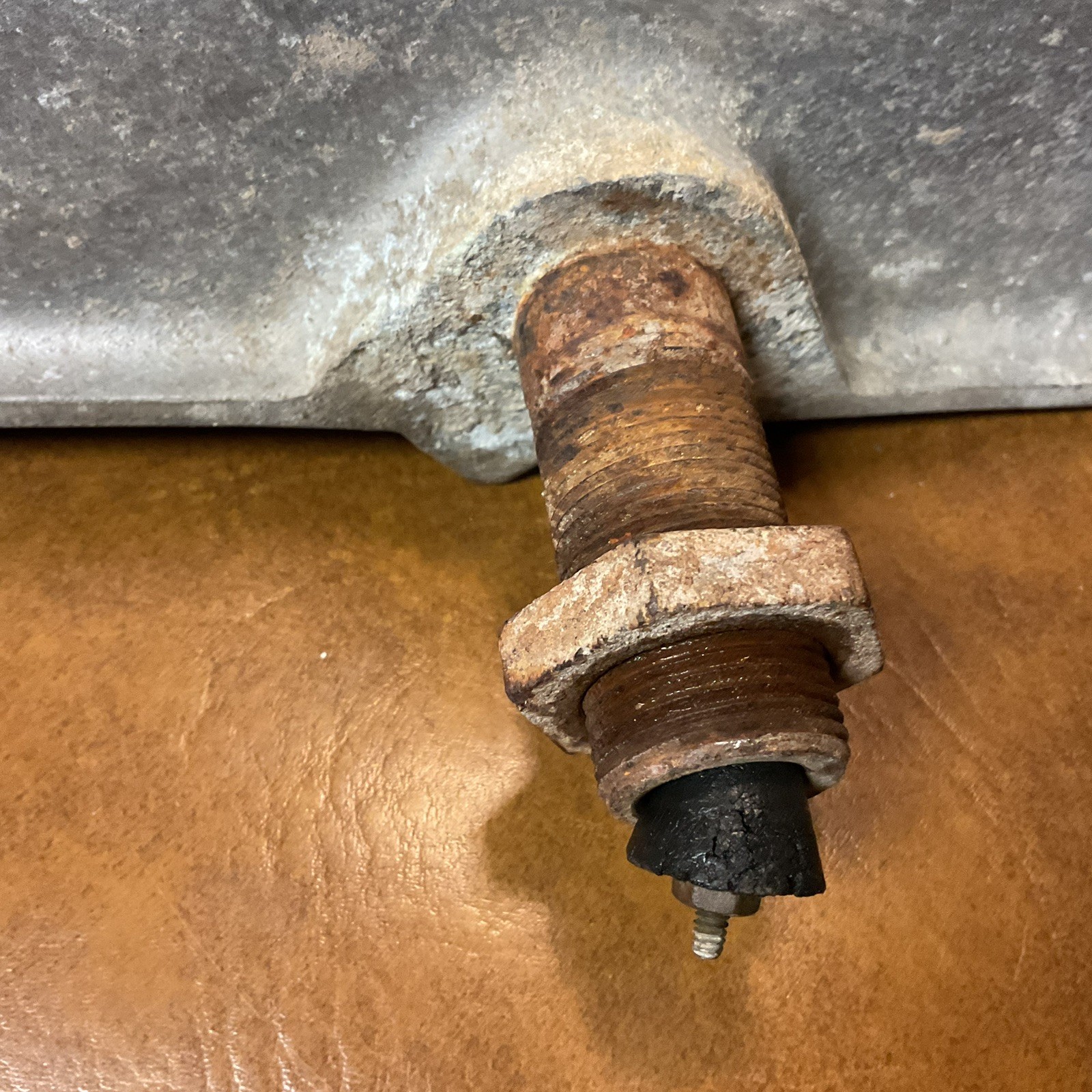 Daisy Hog Waterer . No 30 C Cast Aluminum . Used . Good