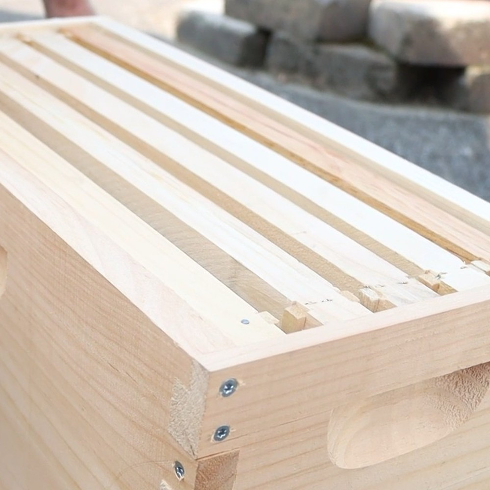 5 Frame Med Nuc Assembled Beekeeping Box, Plastic Foundation Frames, Amish Made