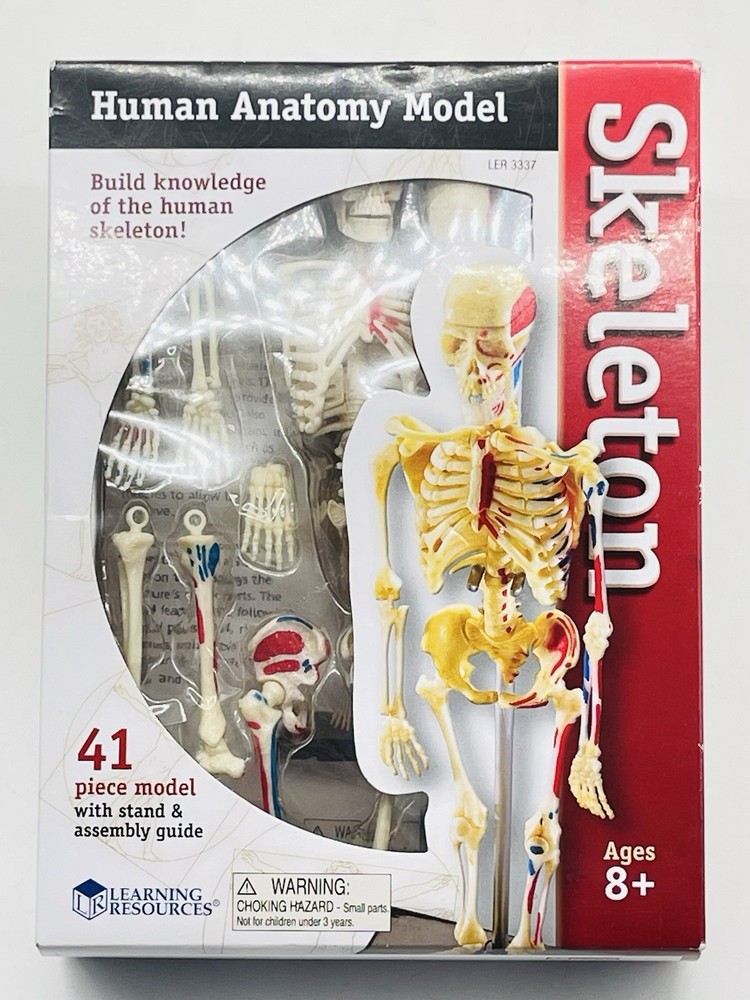Learning Resources STEM Human Anatomy Skeleton 9.2" Tall Realistic Model ~ 41 Pc