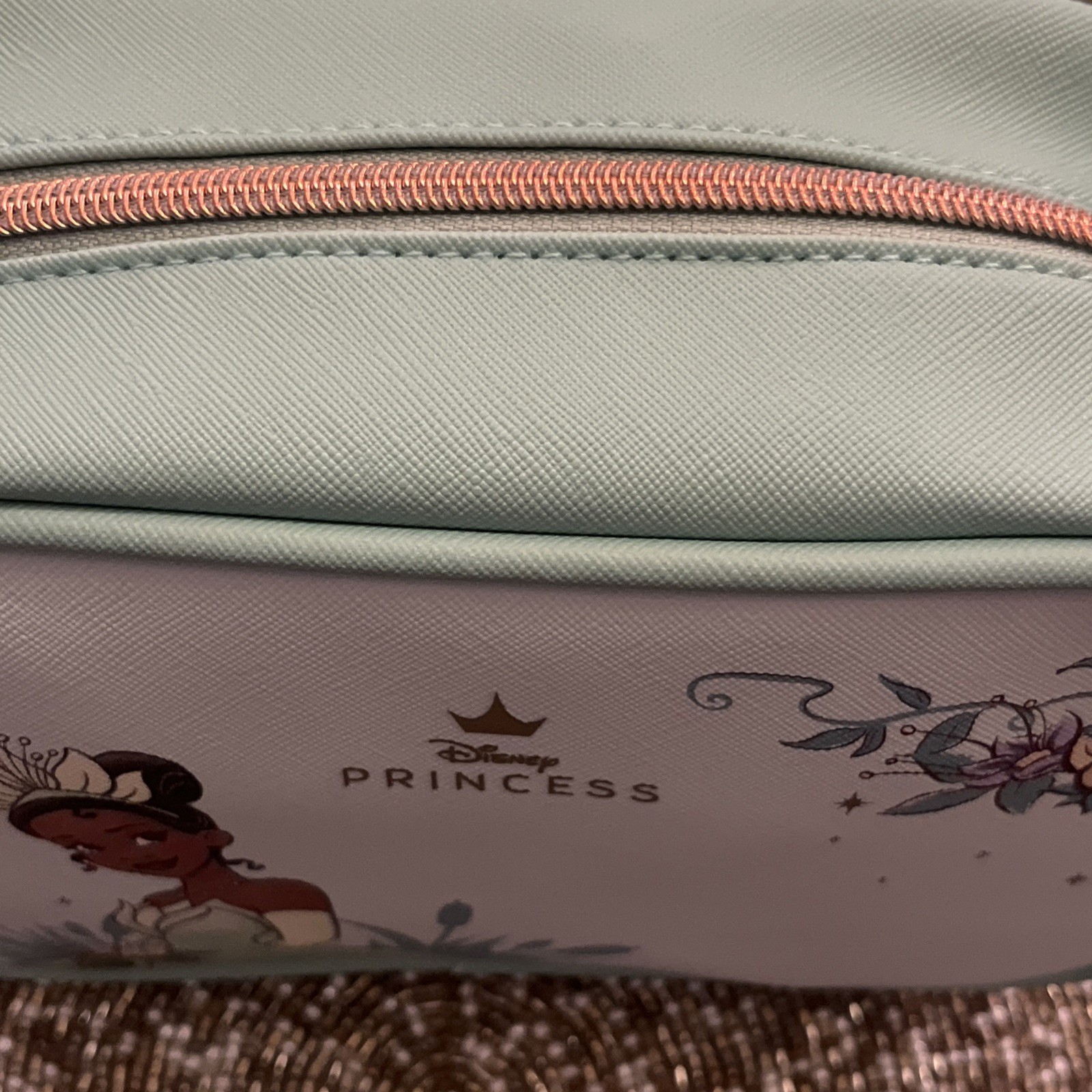 Disney Princess Tiana Cosmetic Bag Floral Design