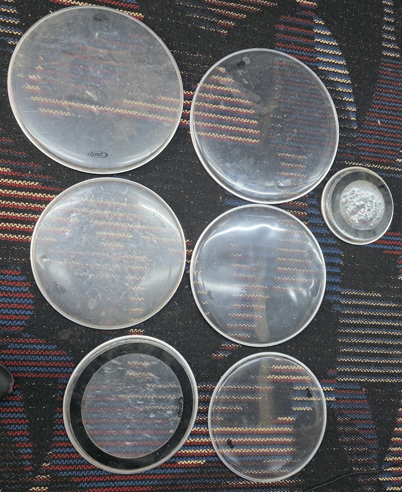 7 Assorted Drum Heads Lot. Pdp And Remo