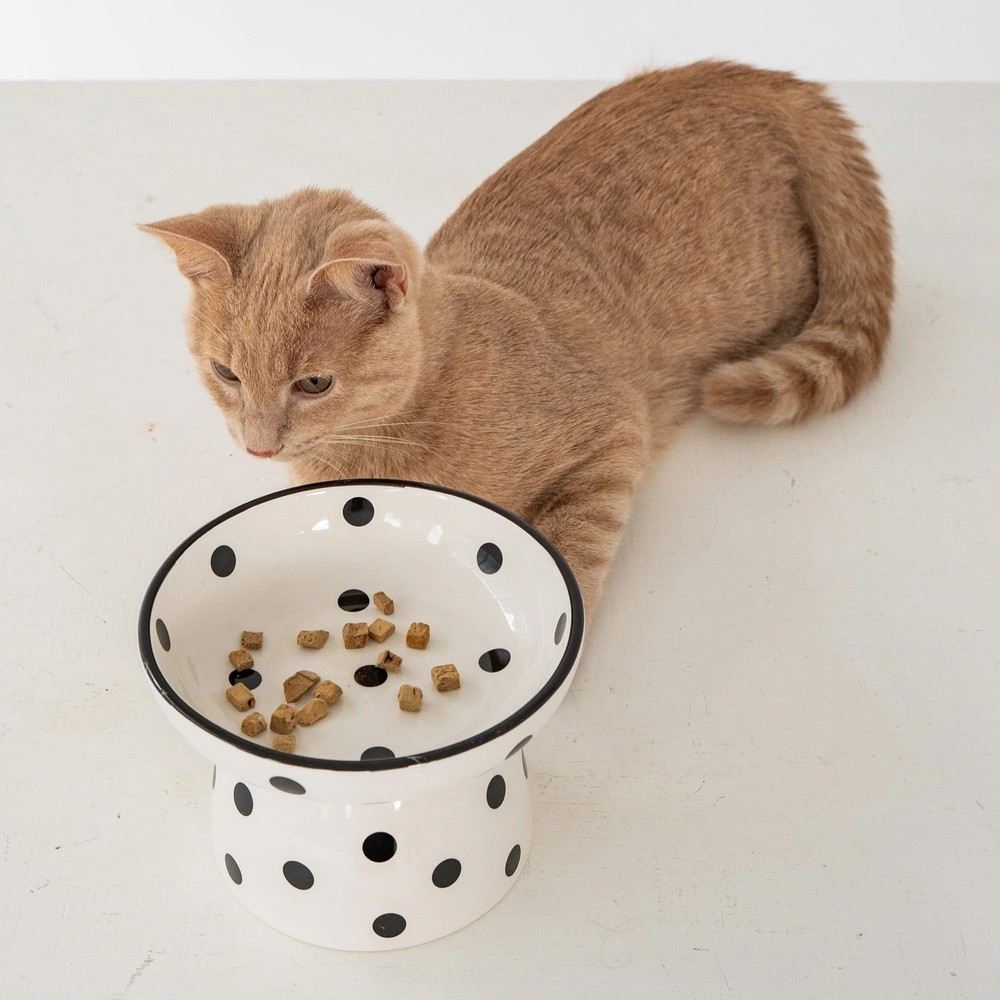 Dexypaws Elevated Ceramic Cat Bowl - White/Black Polka Dots - 8.7oz