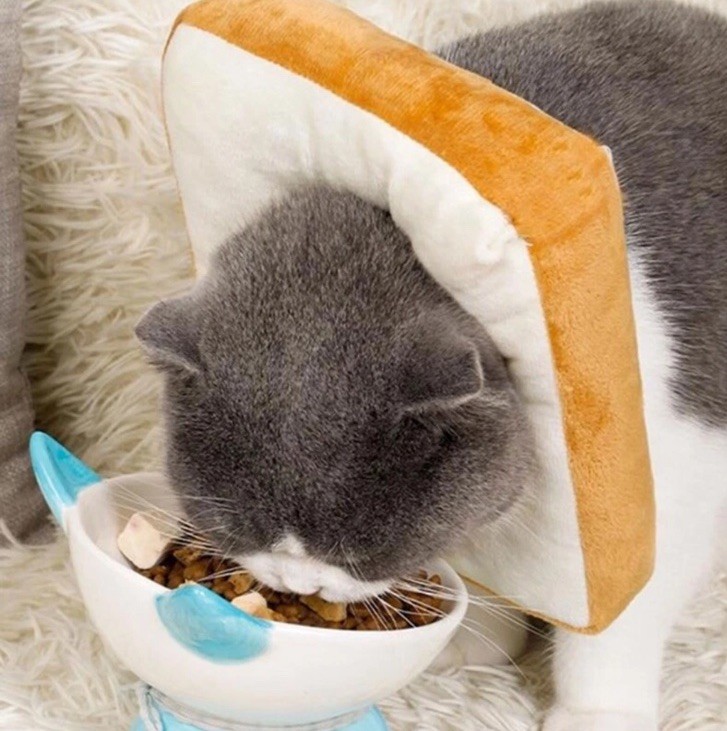 Hombys Soft Dog Cone Collar Toast Shape Spay Neuter Surgery Recovery Size Large