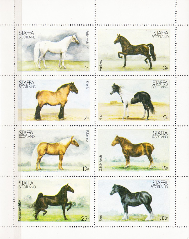 W STAFFA 034 HORSES