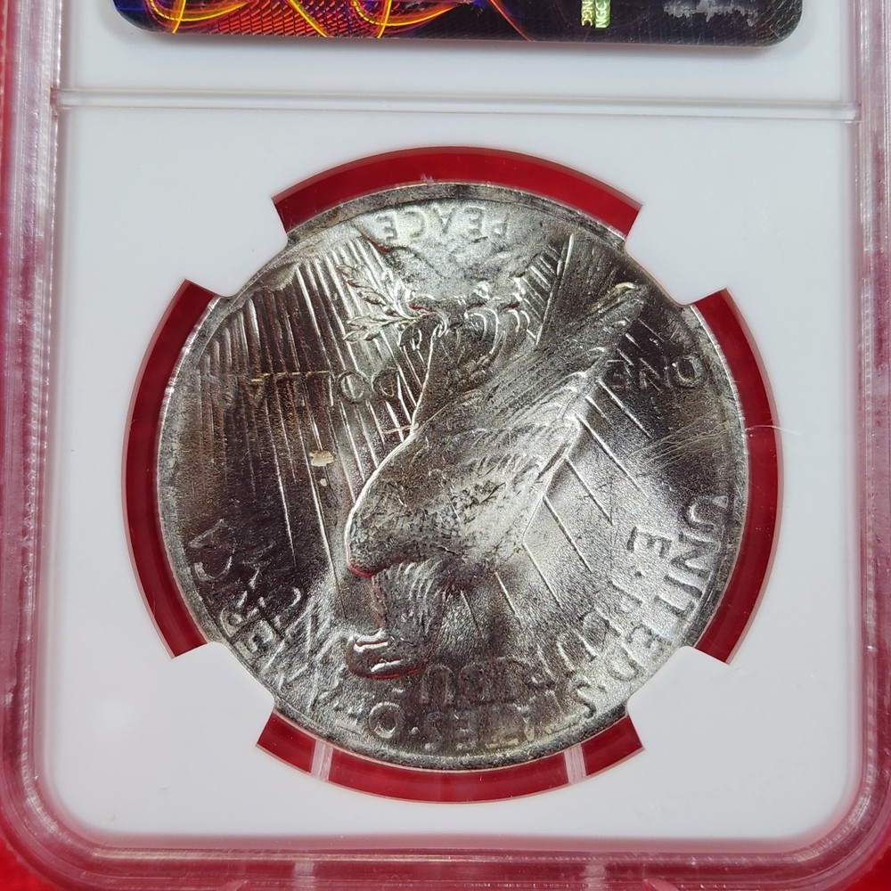 1923 Peace Silver Dollar NGC MS64