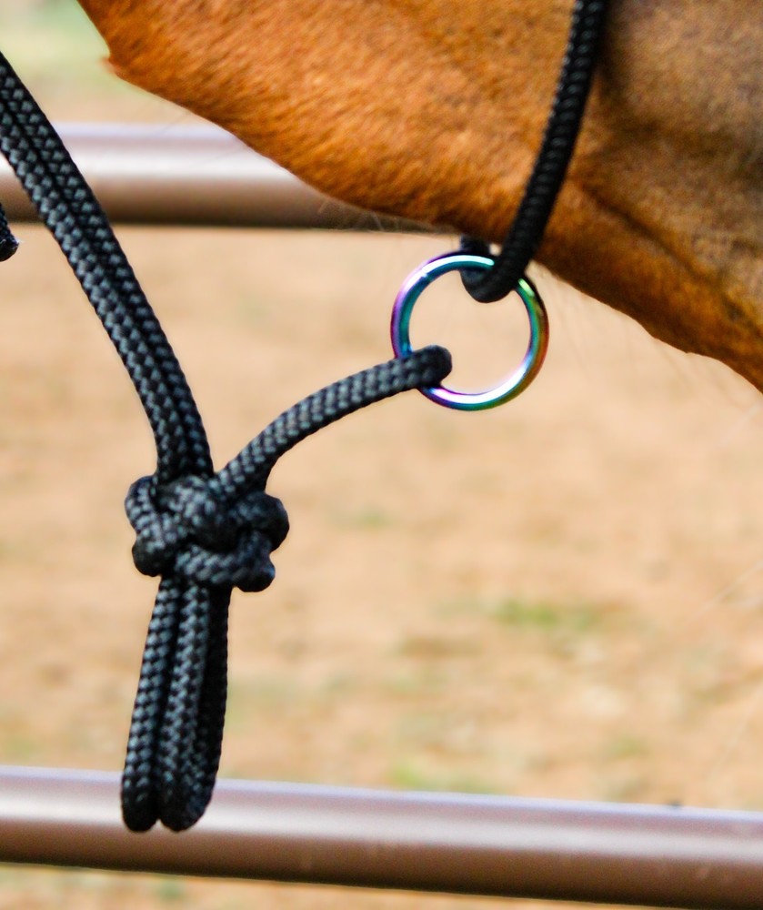 Sliding Ring Rope Halter W/ Rainbow Plated Ring