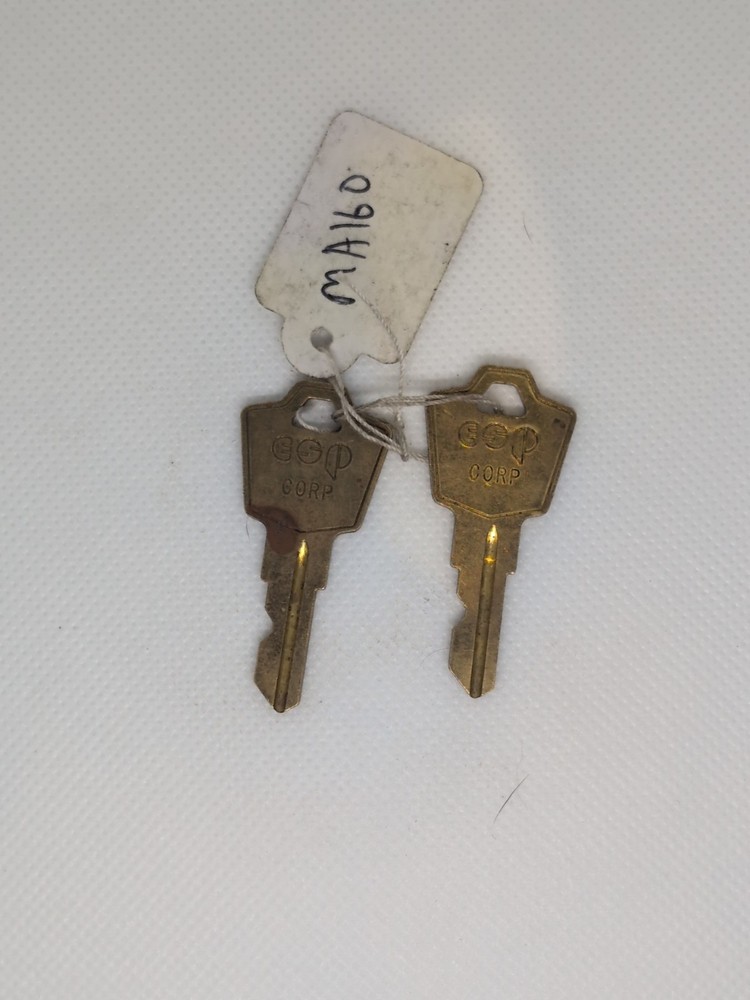 ESP Cabinet Lock Keys MA160