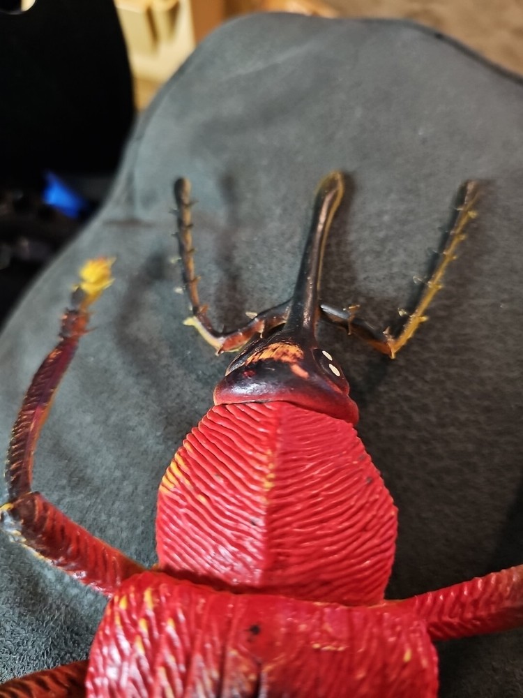 Unbranded Large Plastic Bug (7inx.5inx6in)