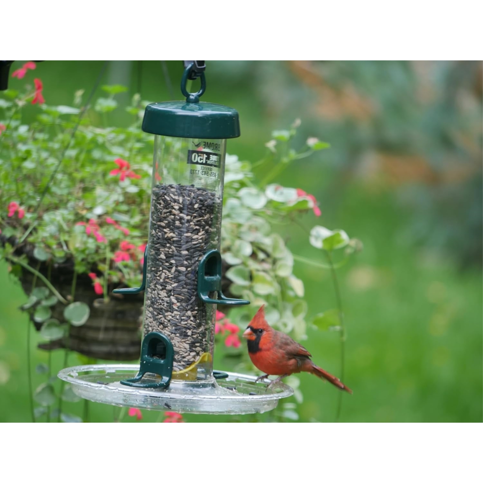 Brome Bird Feeder Seed Tray, Compatible with Tube Solution 100, 150 & 200, Clear