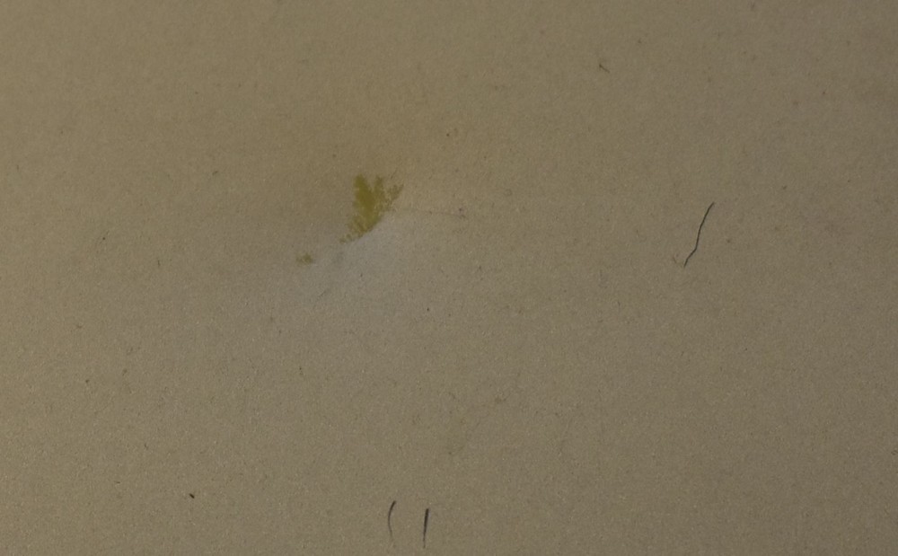 Sansui Audio Program Timer Model no AT-20