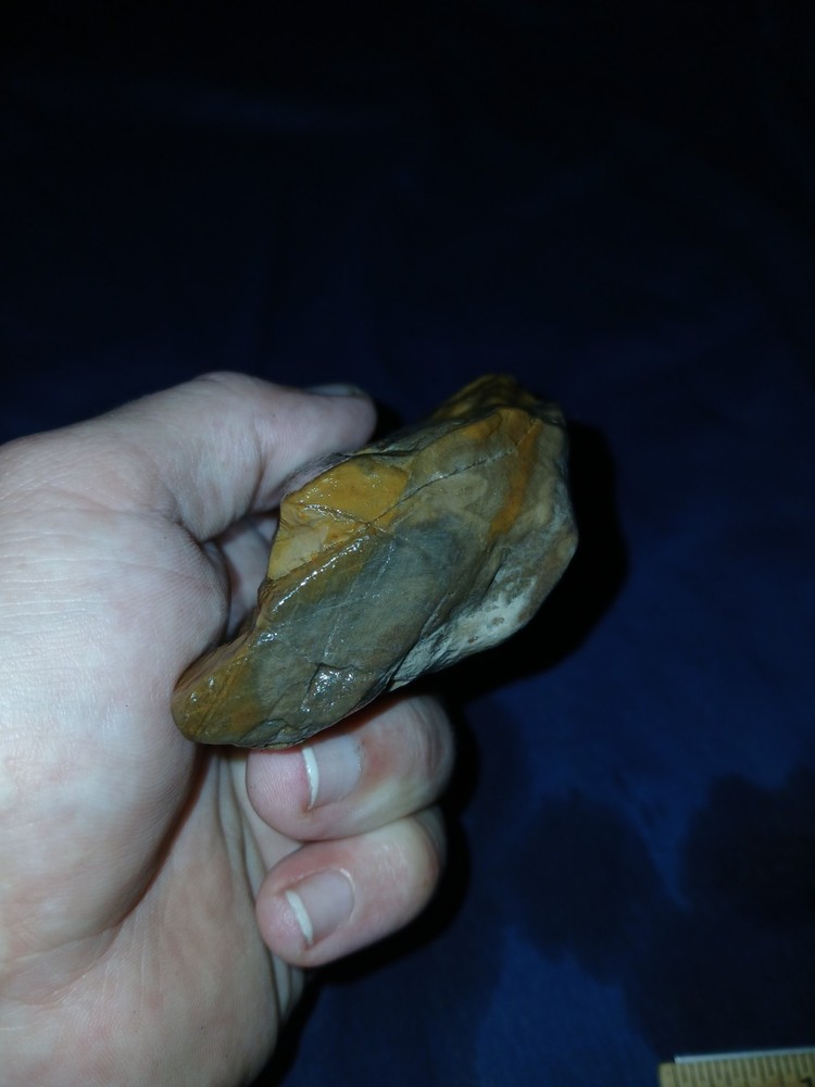 9.oz Texas Petrified Wood
