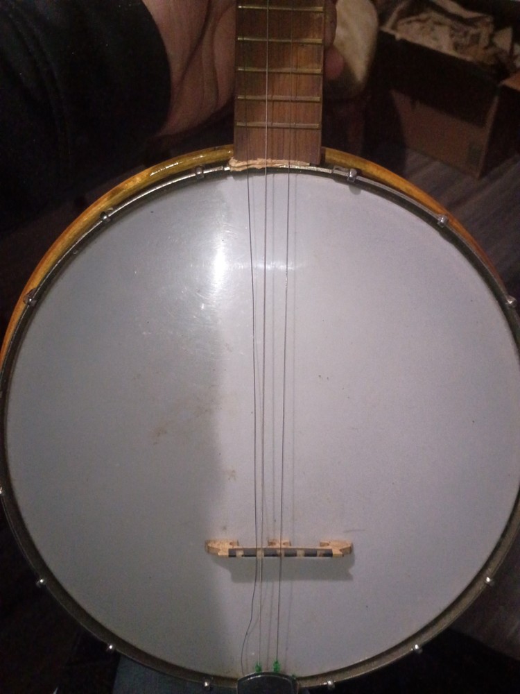 Banjo Needs Strings