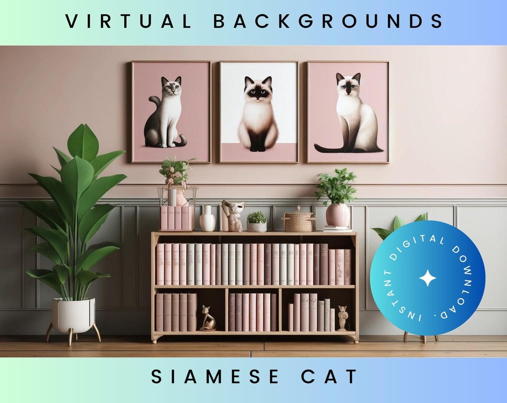 Siamese Cat Pink Zoom Backgrounds