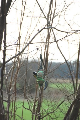 Spring Bird Feeder, Set of 4 1