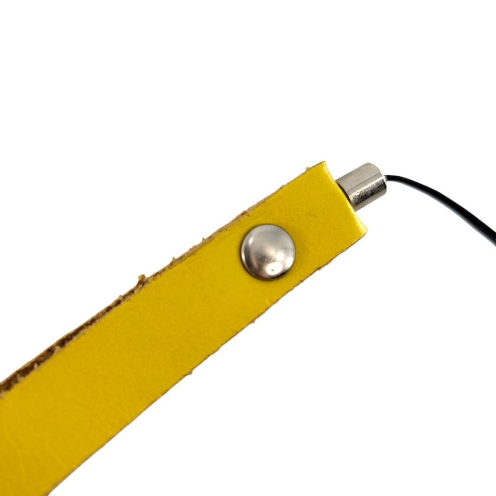 Bmw Keychain Yellow Strap Logo Key Charm