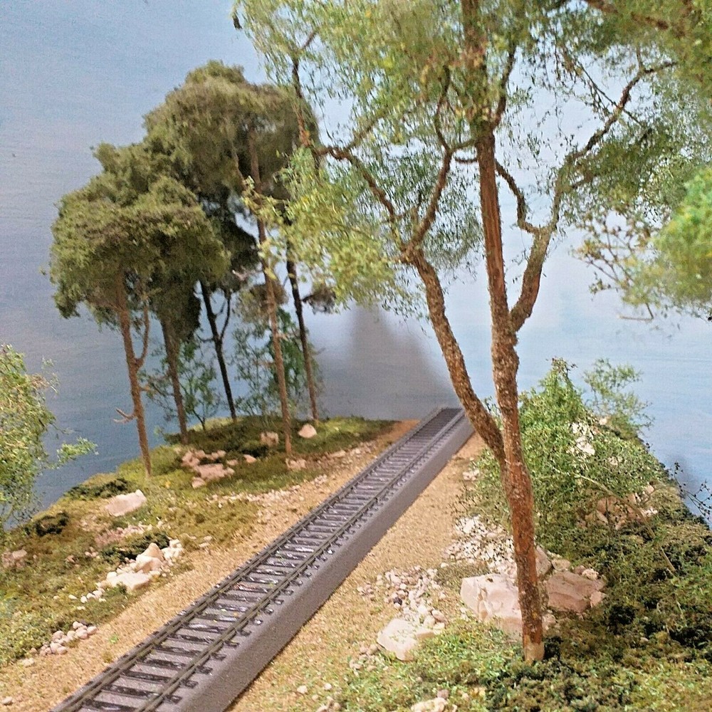 Pine and Deciduous Trees Diorama, 1/32 to 1/87 Scale