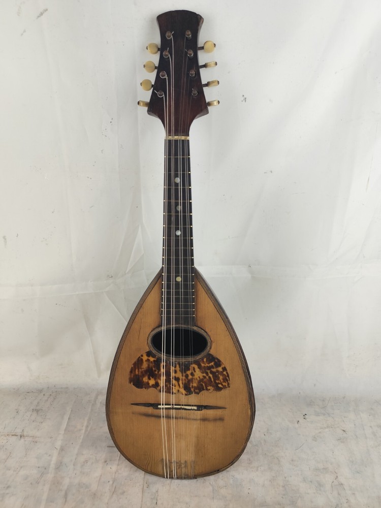 Mandolin 4/4 Francesco Solomone 1905 Naples 曼陀林 만돌린マンドリン