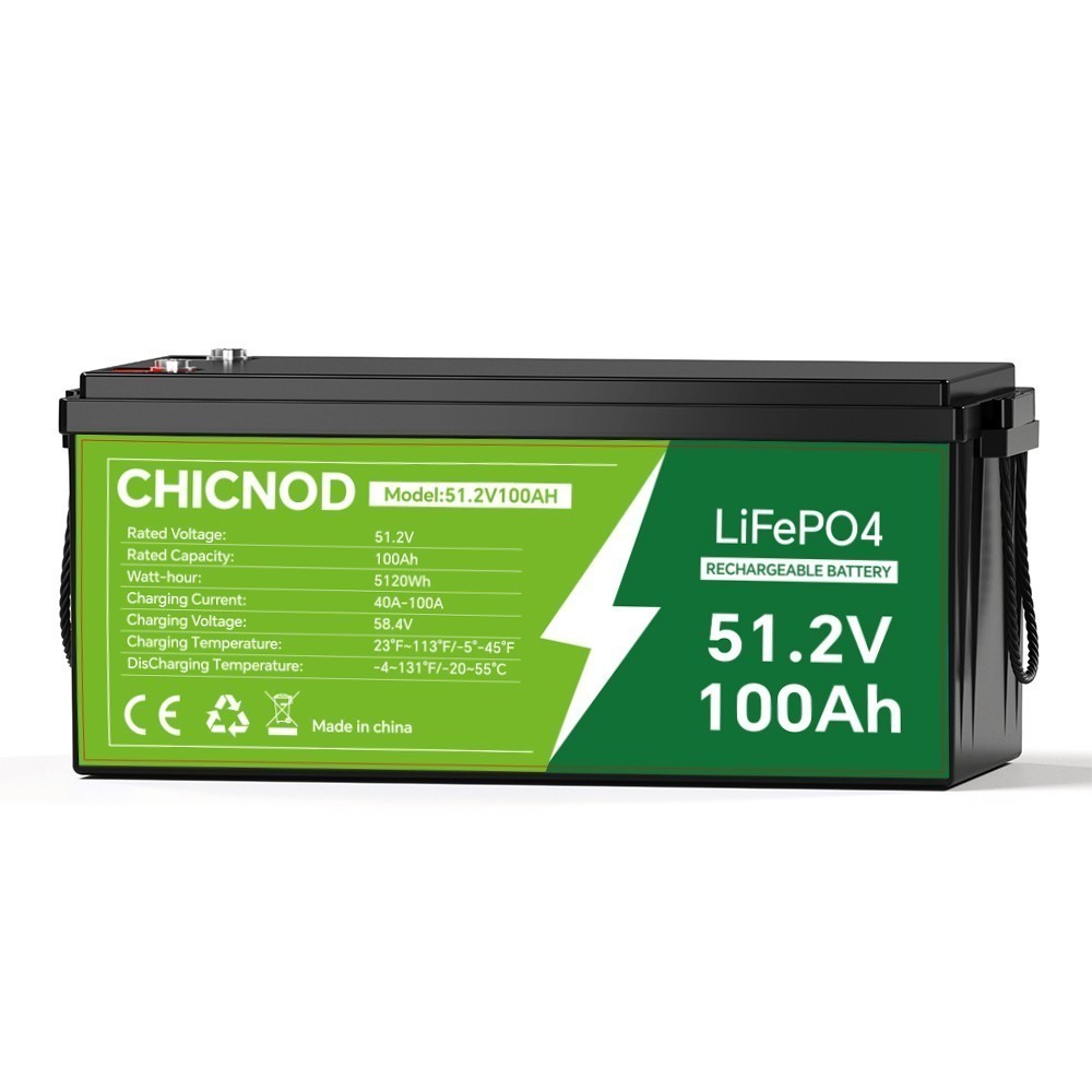 48V 100Ah LiFePO4 Lithium Battery Bluetooth BMS with Charger For Solar Camp RV