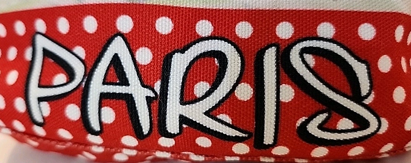 Robin Ruth x Disney Paris Mickey & Minnie Mouse Red Polka Dot Crossbody Bag EC