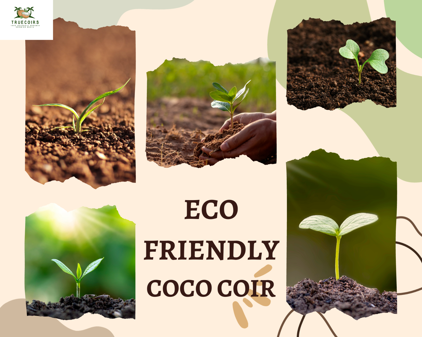 10LB/1.4LB CocoCoir Brick Coconut Fiber Potting Soil Plant Organic Growing Media