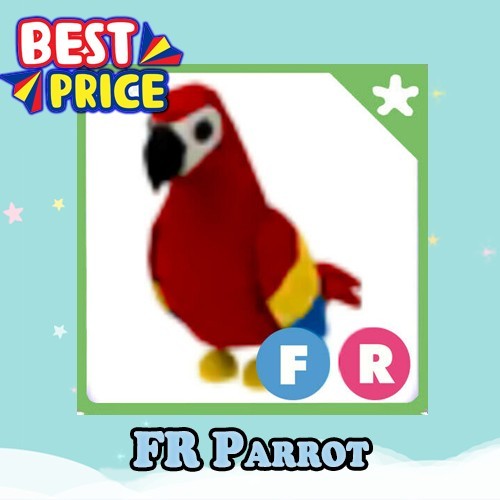 FR Parrot - Adopt right now