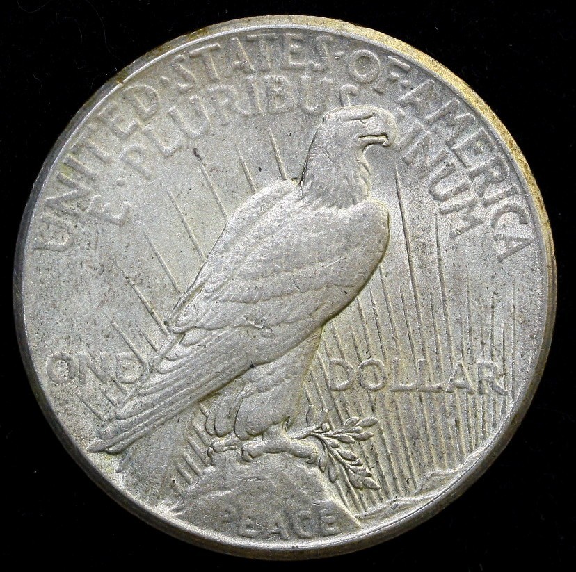 1925 Peace Dollar 90% Silver - Uncirculated #P24