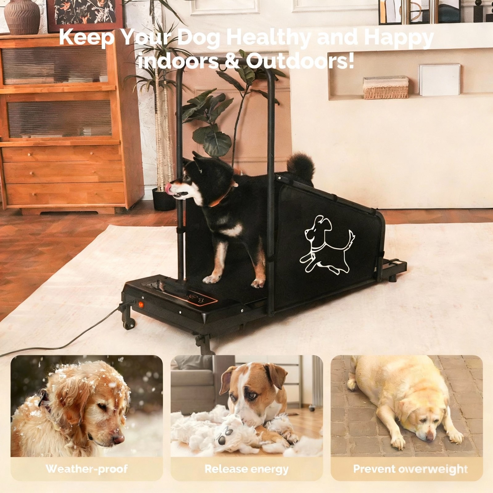 Dog Pacer Treadmill Electric Remote Control Healthy Fitness Run Walk Medium Dogs