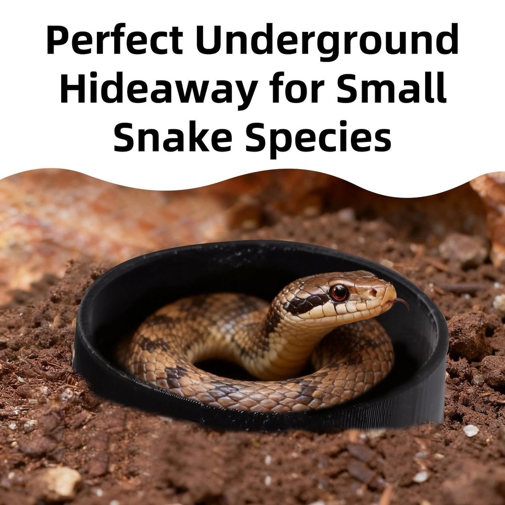 Black Reptile Underground Cave Viewing Hide Lizard Hognose Leopard