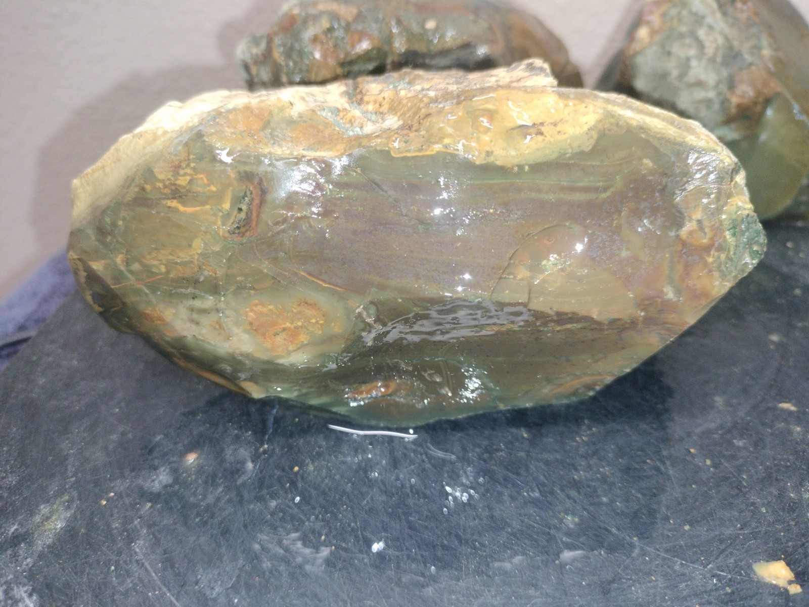 7.3LB ORBS Blue Mountain Picture Jasper Rough 6pc Lot #26